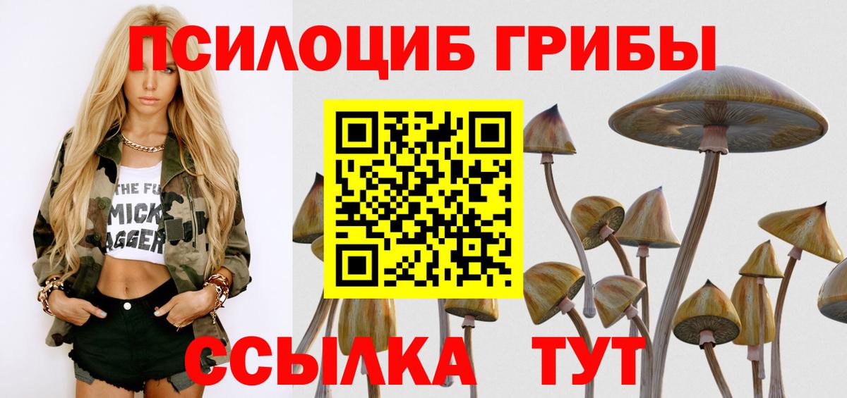 Борисоглебск  Псилоцибиновые грибы прущие грибы  Вход с VPN  закладка  Псилоцибиновые грибы мухоморы 